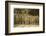 Breaker Boys Who Sort Coal by Hand at Ewen Breaker of Pennsylvania Coal Co-Lewis Wickes Hine-Framed Photographic Print