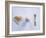 Breakfast Setting with Toast, Egg and Horn Egg Spoon-Alexander Van Berge-Framed Photographic Print