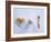 Breakfast Setting with Toast, Egg and Horn Egg Spoon-Alexander Van Berge-Framed Photographic Print