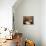 Breakfast Still Life-Willem Claesz. Heda-Giclee Print displayed on a wall