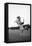 Breaking in a Pony-Mario de Biasi-Framed Premier Image Canvas