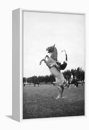 Breaking in a Pony-Mario de Biasi-Framed Premier Image Canvas