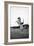 Breaking in a Pony-Mario de Biasi-Framed Giclee Print