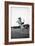 Breaking in a Pony-Mario de Biasi-Framed Giclee Print