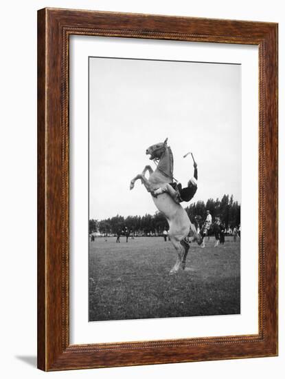 Breaking in a Pony-Mario de Biasi-Framed Giclee Print