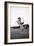 Breaking in a Pony-Mario de Biasi-Framed Giclee Print