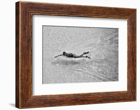 Breaking the Net-C.S.Tjandra-Framed Photographic Print