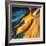 Breaking the Sound Barrier-Wilf Hardy-Framed Giclee Print