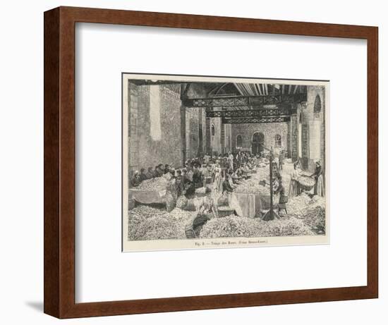 Breaking up Flowers in a Perfume Factory (Bruno- Court)At Grasse France-null-Framed Art Print