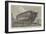 Breaking-Up HMS Queen at Rotherhithe-Frank Watkins-Framed Giclee Print