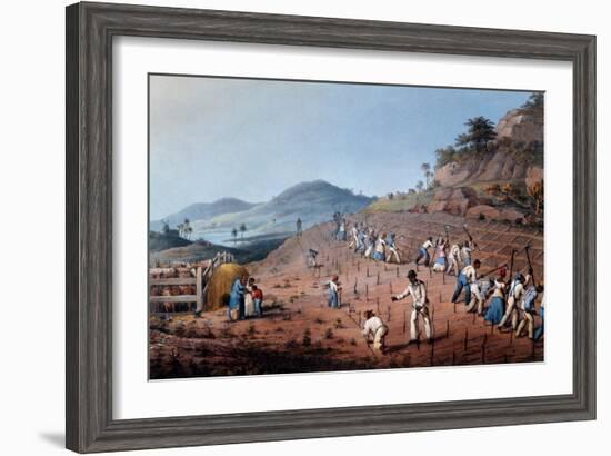 Breaking Up the Land, from 'ten Views in the Island of Antigua', 1823-William Clark-Framed Giclee Print