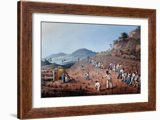 Breaking Up the Land, from 'ten Views in the Island of Antigua', 1823-William Clark-Framed Giclee Print