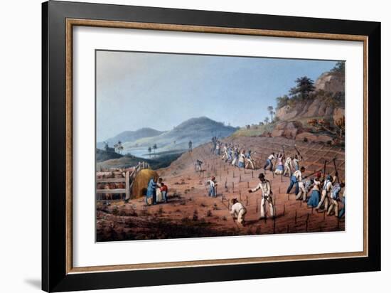 Breaking Up the Land, from 'ten Views in the Island of Antigua', 1823-William Clark-Framed Giclee Print