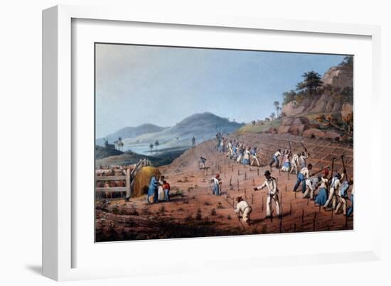 Breaking Up the Land, from 'ten Views in the Island of Antigua', 1823-William Clark-Framed Giclee Print