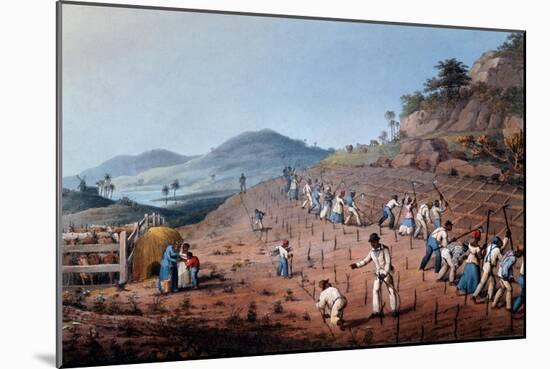 Breaking Up the Land, from 'ten Views in the Island of Antigua', 1823-William Clark-Mounted Giclee Print