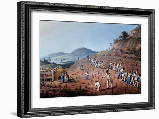 Breaking Up the Land, from 'ten Views in the Island of Antigua', 1823-William Clark-Framed Giclee Print