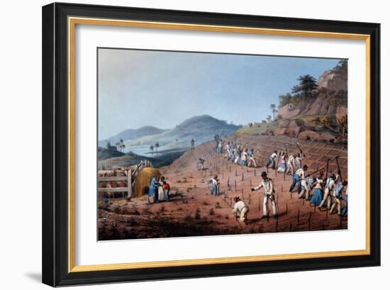 Breaking Up the Land, from 'ten Views in the Island of Antigua', 1823-William Clark-Framed Giclee Print