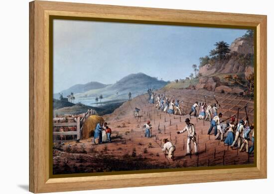 Breaking Up the Land, from 'ten Views in the Island of Antigua', 1823-William Clark-Framed Premier Image Canvas