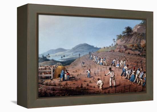 Breaking Up the Land, from 'ten Views in the Island of Antigua', 1823-William Clark-Framed Premier Image Canvas