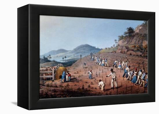 Breaking Up the Land, from 'ten Views in the Island of Antigua', 1823-William Clark-Framed Premier Image Canvas