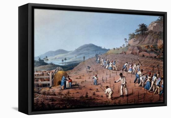 Breaking Up the Land, from 'ten Views in the Island of Antigua', 1823-William Clark-Framed Premier Image Canvas