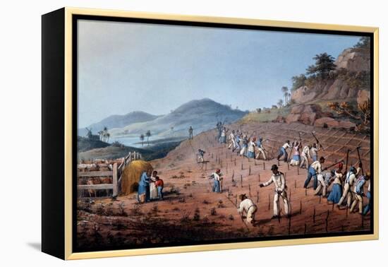 Breaking Up the Land, from 'ten Views in the Island of Antigua', 1823-William Clark-Framed Premier Image Canvas