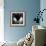 Breaking-Winter Wolf Studios-Framed Photographic Print displayed on a wall