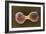 Breast Cancer Cells, SEM-Steve Gschmeissner-Framed Photographic Print