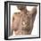 Breast Lymphatic System, Artwork-null-Framed Premium Photographic Print