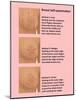 Breast Self Examination-Gwen Shockey-Mounted Giclee Print