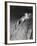 Breast Stroke Champion Joe Verdeur Diving Into Pool-Gjon Mili-Framed Photographic Print