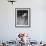 Breast Stroke Champion Joe Verdeur Diving Into Pool-Gjon Mili-Framed Photographic Print displayed on a wall