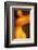 Breast-Richard Desmarais-Framed Art Print