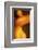 Breast-Richard Desmarais-Framed Art Print