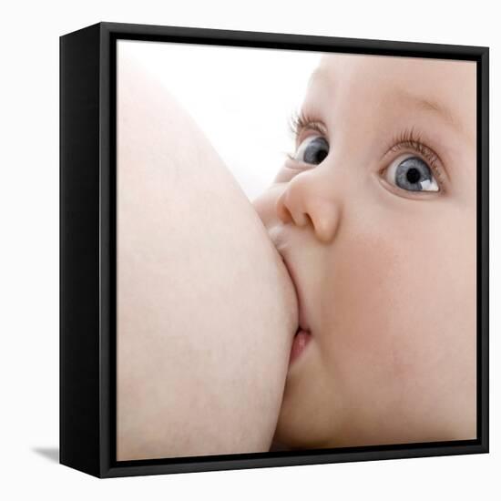 Breastfeeding-Science Photo Library-Framed Premier Image Canvas