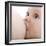 Breastfeeding-Science Photo Library-Framed Premium Photographic Print