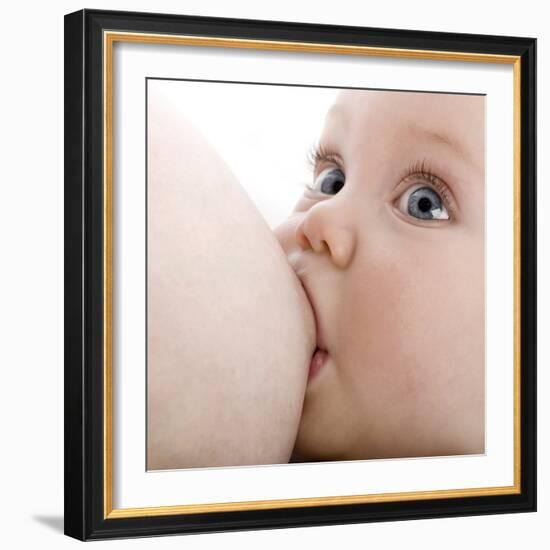 Breastfeeding-Science Photo Library-Framed Premium Photographic Print