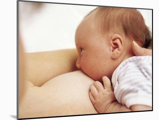 Breastfeeding-Ian Boddy-Mounted Photographic Print