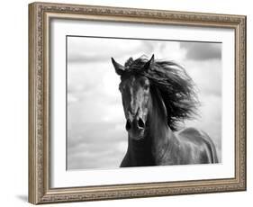 Breath of Life-Tony Stromberg-Framed Photographic Print