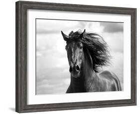 Breath of Life-Tony Stromberg-Framed Photographic Print