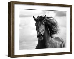 Breath of Life-Tony Stromberg-Framed Photographic Print