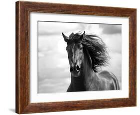 Breath of Life-Tony Stromberg-Framed Photographic Print