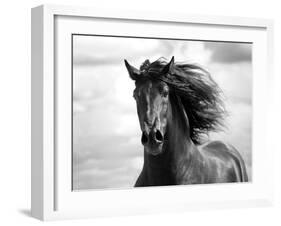 Breath of Life-Tony Stromberg-Framed Photographic Print