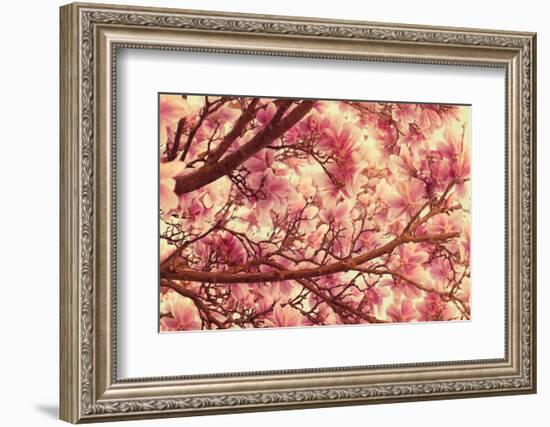 Breath of Me-Philippe Sainte-Laudy-Framed Photographic Print