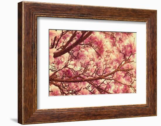 Breath of Me-Philippe Sainte-Laudy-Framed Photographic Print