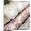 Breathe-Nicole Katano-Mounted Photo