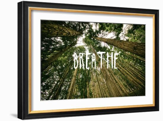 Breathe-null-Framed Premium Giclee Print