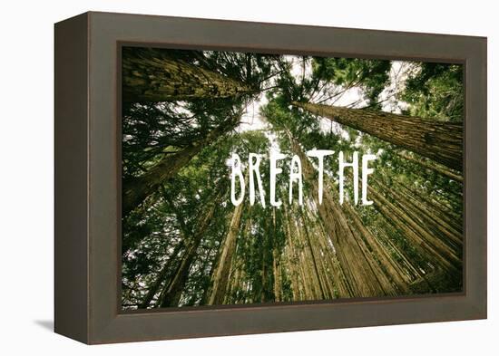 Breathe-null-Framed Stretched Canvas