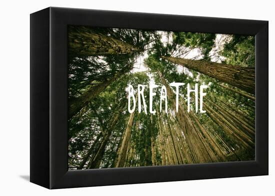 Breathe-null-Framed Stretched Canvas