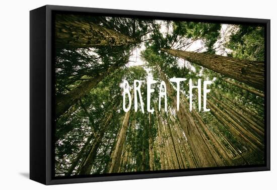 Breathe-null-Framed Stretched Canvas